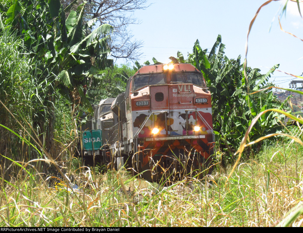 VLI 8383